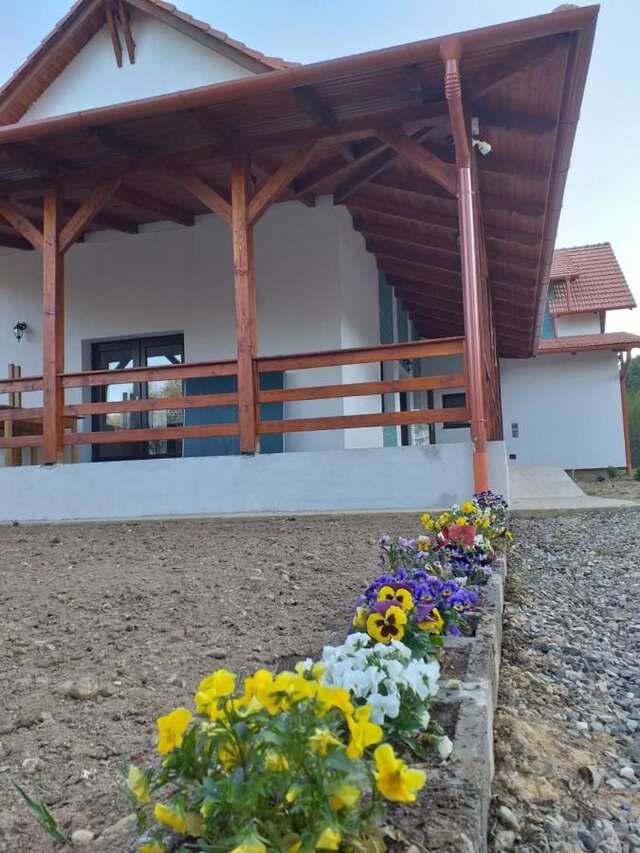 Фермерские дома Pensiunea Agroturistica Valea Iazului Iaz-8